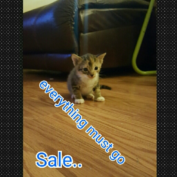 Clearance sale everything must go