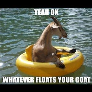 Meet your Posher, Tammy