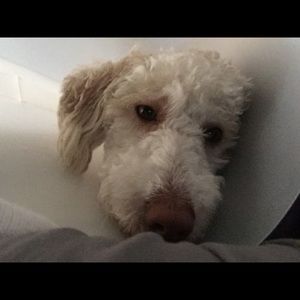 Meet your Posher, Melanie