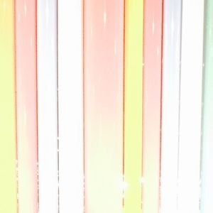 Meet your Posher, Celeste