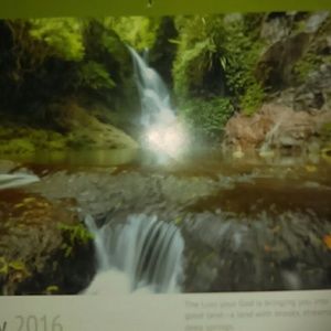 Meet your Posher, Georgia