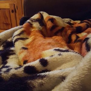 Meet your Posher, Deb