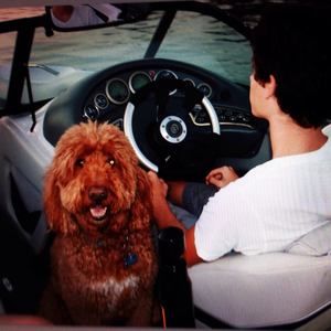 Meet your Posher, Nicholas