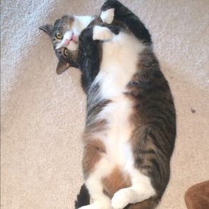 Meet your Posher, Mike