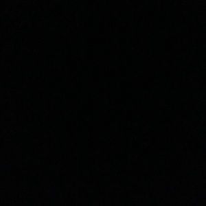 Meet your Posher, Gavin