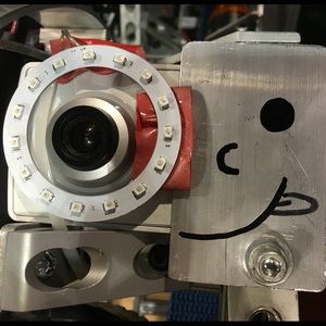 Meet your Posher, Diana