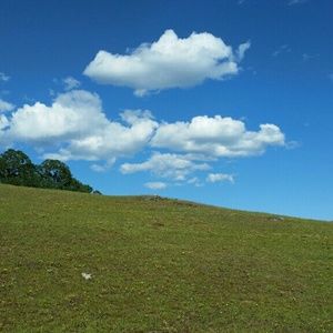 Meet your Posher, Lora