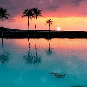 Meet your Posher, Sophie