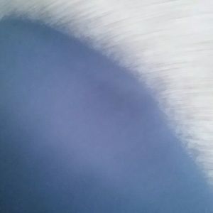 Meet your Posher, Ciara