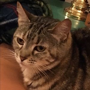 Meet your Posher, Vicky