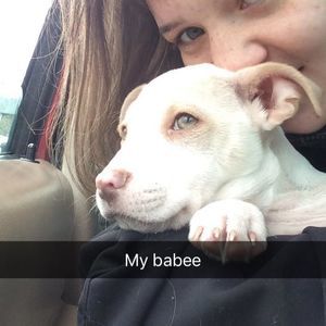 Meet your Posher, Kramer