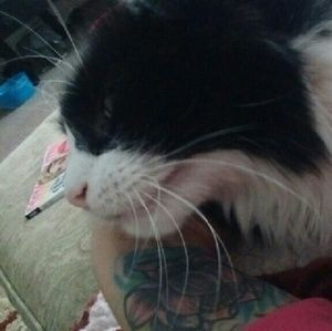 Meet your Posher, Leslie