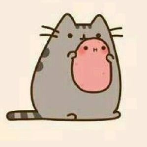 Meet your Posher, Amina