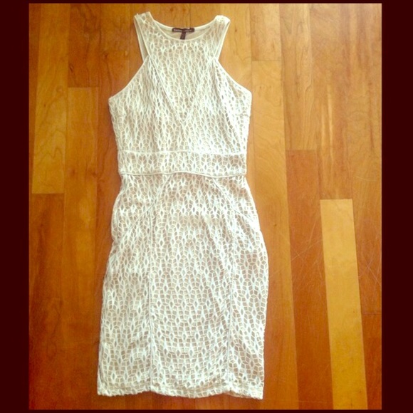 Bebe addiction dress.. Size m