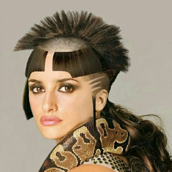 Meet your Posher, Chrissy - Picture 1 of 1