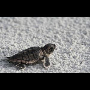 Meet your Posher, Angelica