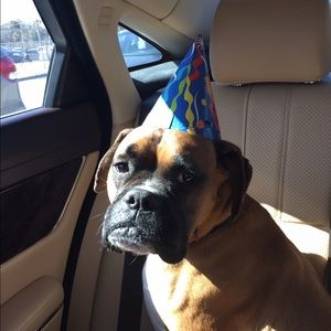 Meet your Posher, Heidi