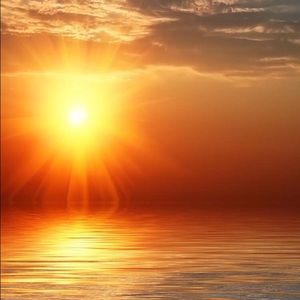 Meet your Posher, Terri