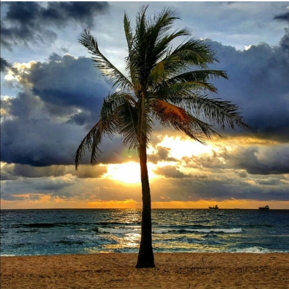 Shopping Bundle & Save - Picture 2 of 2