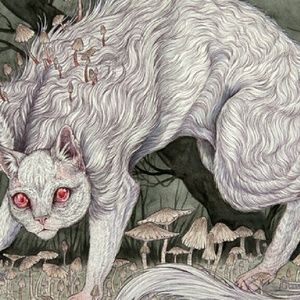 Meet your Posher, Veronica