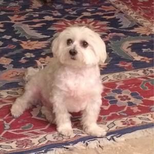 Meet your Posher, Aimee