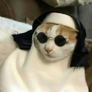 Meet your Posher, Yasmin