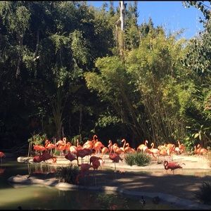 Meet your Posher, My