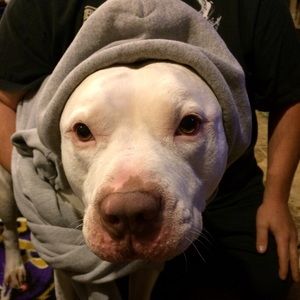 Meet your Posher, Patrice