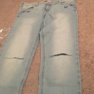 Hollister Jean