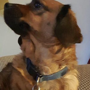 Meet your Posher, Margie