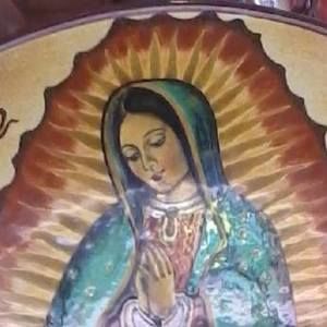 Meet your Posher, Nora