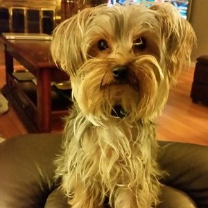 Meet your Posher, Kate