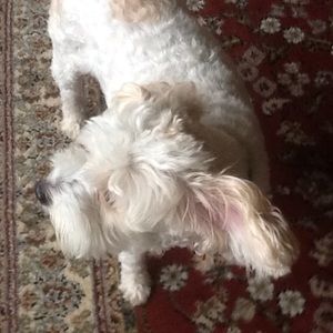 Meet your Posher, Kathy