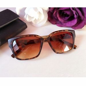 Matte Brown Sunnies | Sunglasses | Print