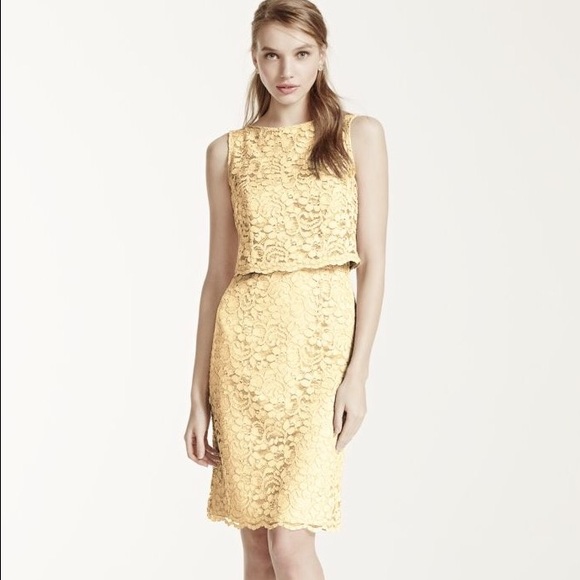 David's Bridal Lace Dress w/ Popover Top
