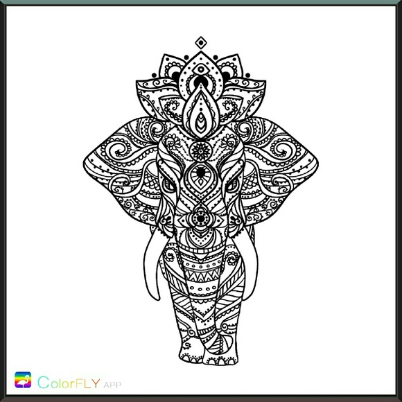 Meet your Posher, Kasha