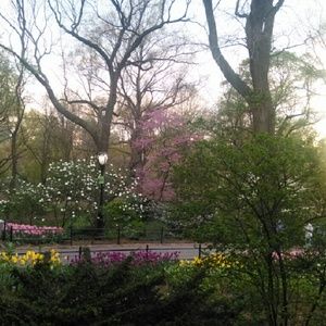 Meet your Posher, Katherine