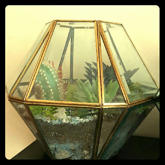 Home made terrarium