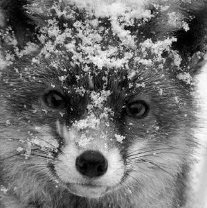 Meet your Posher, Kaitlyn