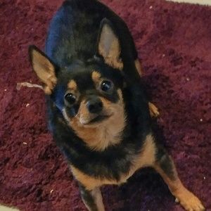 Meet your Posher, Amy