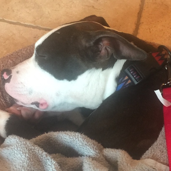 Meet your Posher, Connie