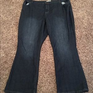 Women's Fashion Bug Jeans
