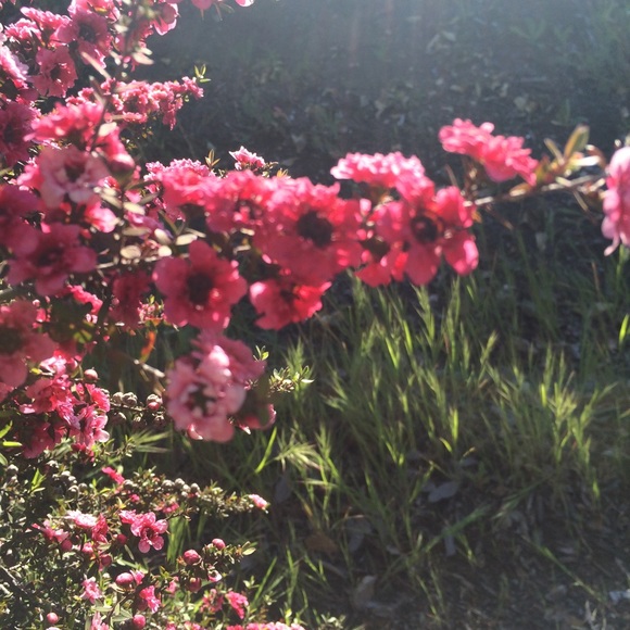 Bundle PINK sweater and Cardigan