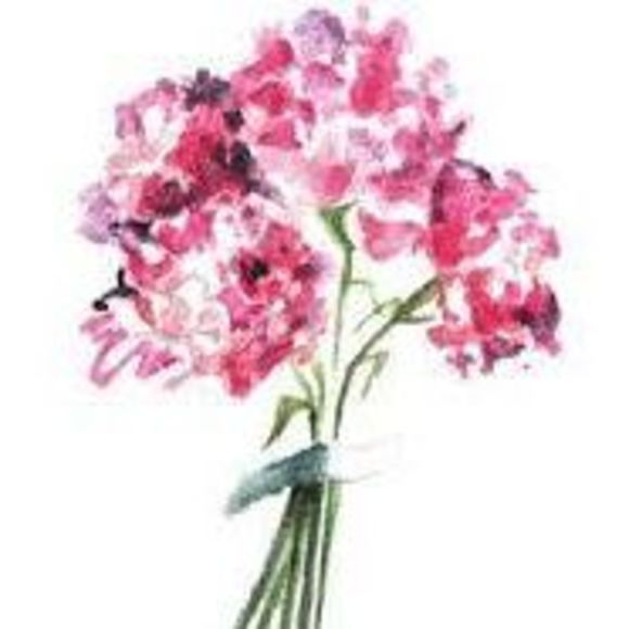 Meet your Posher, Lorie - Picture 1 of 1