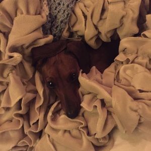 Meet your Posher, June