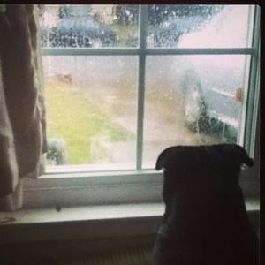 Meet your Posher, Charlotte