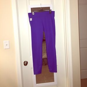 NWT Bright Purple Perfect Zipped Pant