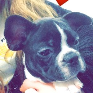 Meet your Posher, Kristen