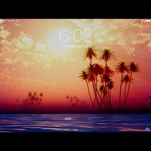 Meet your Posher, Angelica