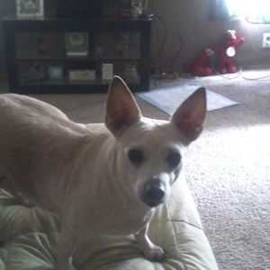 Meet your Posher, Earlene